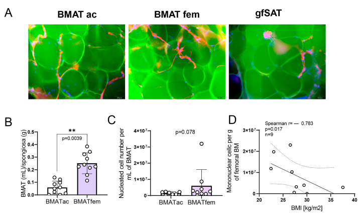Figure1 from Trivanovic t al